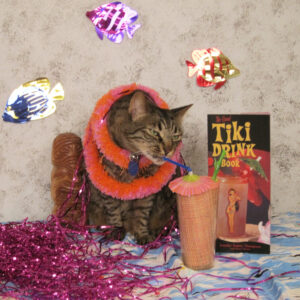 https://www.drsallyjfoote.com/shop/webinar/vet-professional/1-hr-race-ce-behavior-cocktails/ stop cat fights and create calm with a Kitty Cosmo