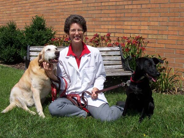 Dog Behavior and Health at all ages