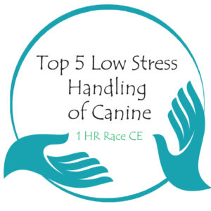 1 Hr Race Top 5 Low Stress Handling - Canine