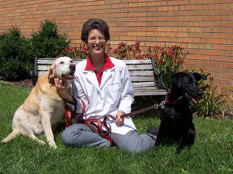 Dog behavior and health at all ages
